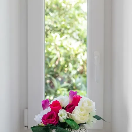 Seabed Rooms1 Konukevi