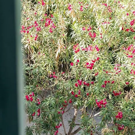 Seabed Rooms1 Σπλιτ